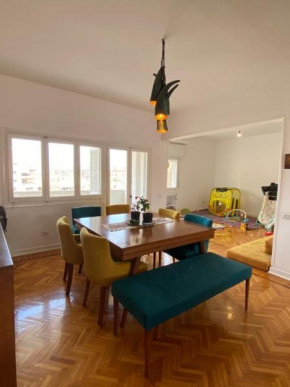 Sunny ready to move in apartment in Mohandessin